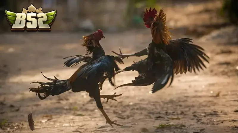 Cộng đồng thành viên có số lượng lên tới triệu người